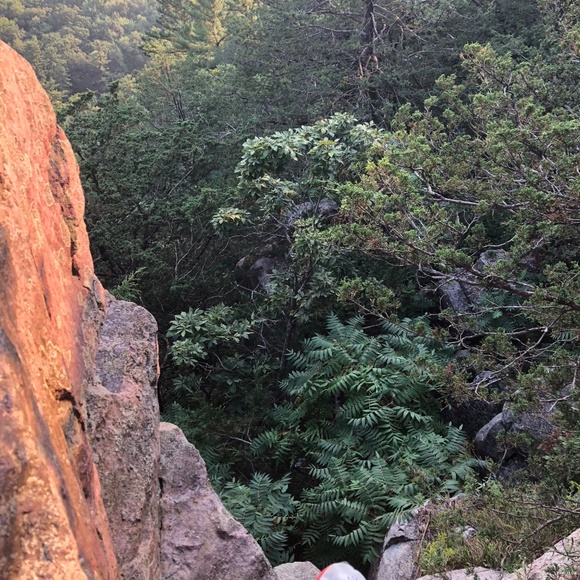 Meet your Posher, Libby - Picture 3 of 3